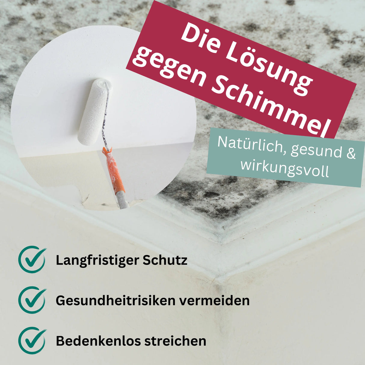 Anti-Schimmel-Konzentrat 1 kg (12 m²)