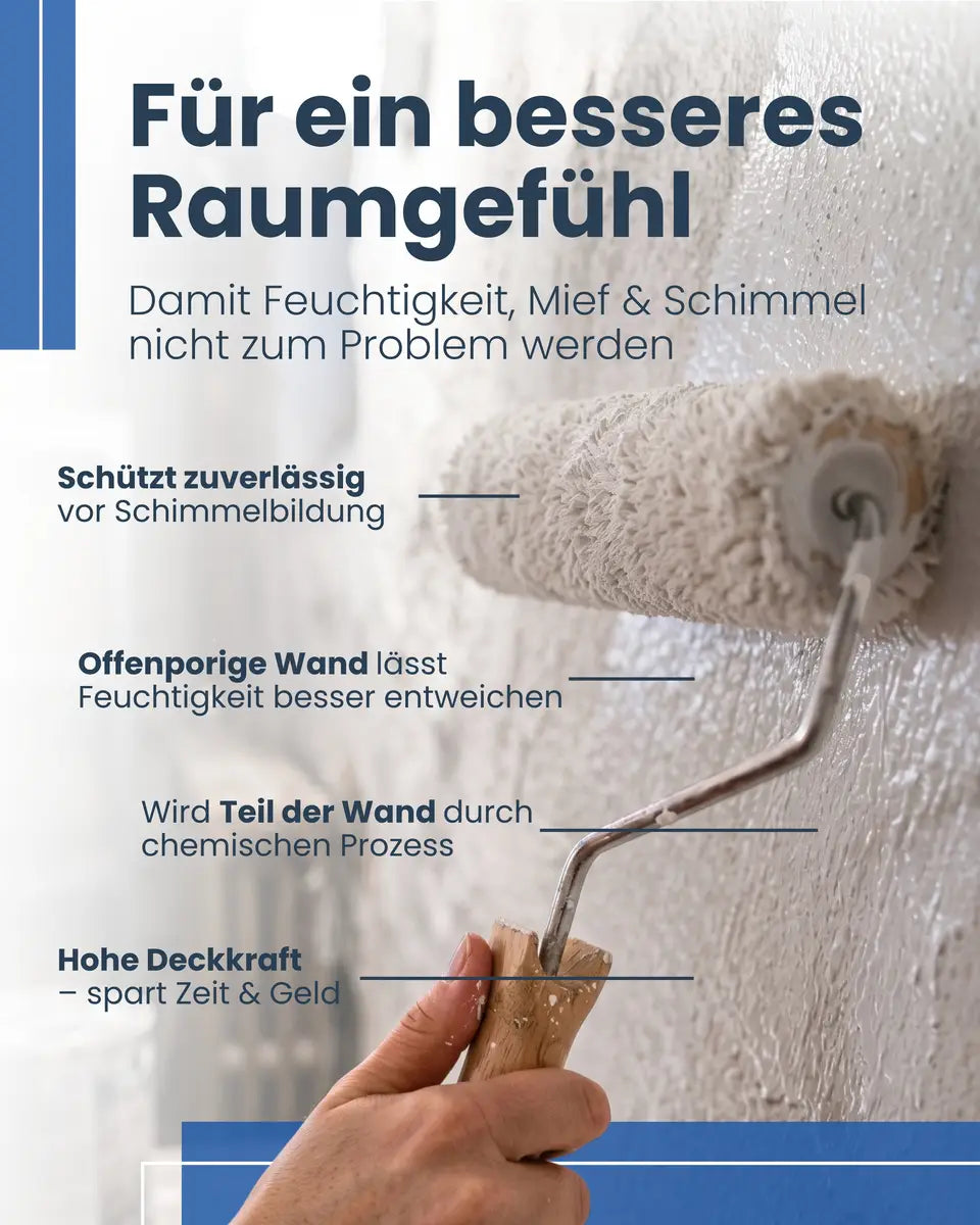 Kellerfarbe | Silikatfarbe 14 kg / ca. 70 m²