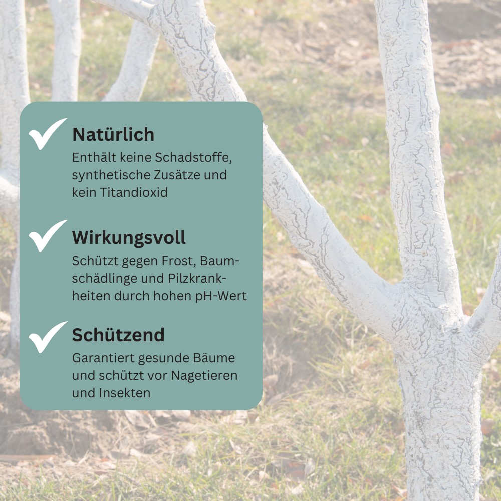 Baum-Anstrich Farbe 1,5 kg (ca. 25 m²)