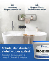 Badezimmerfarbe | Silikatfarbe 6 kg / ca. 20 m²