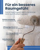 Kellerfarbe | Silikatfarbe 14 kg / ca. 70 m²