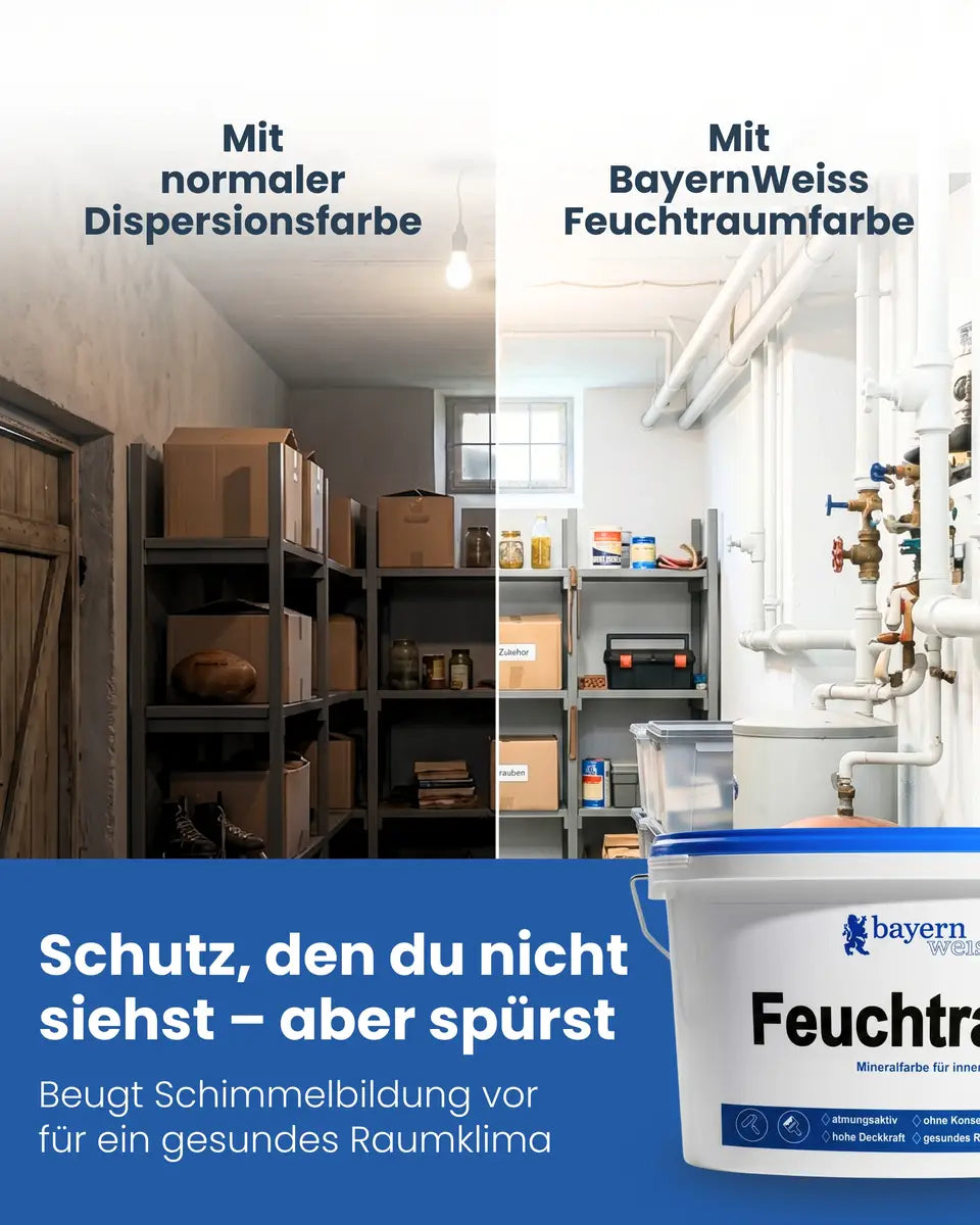 Feuchtraumfarbe | Silikatfarbe 6 kg / ca. 30 m²