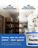 Feuchtraumfarbe | Silikatfarbe 6 kg / ca. 30 m²