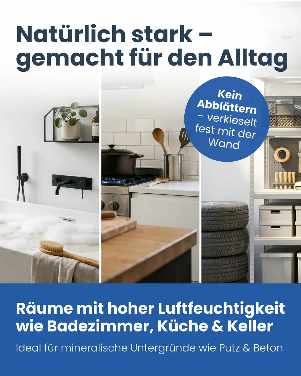 Feuchtraumfarbe | Silikatfarbe 6 kg / ca. 30 m²