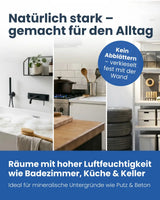 Feuchtraumfarbe | Silikatfarbe 6 kg / ca. 30 m²