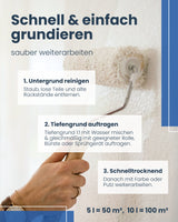 Silikat-Tiefengrund | Grundierung 10 l / ca. 100 m²